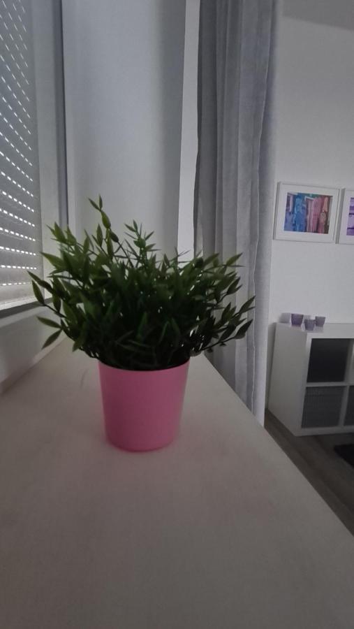 Appartement Lavendel, Ferienwohnung Mit Eigenem Eingang Wie Ein Kleines Haus バート・ザルツフレン エクステリア 写真